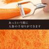Kai Corporation KAI Seki Magoroku Peeler Slicer and Julienne Set Regular Stainless Steel Made in Japan Silver DH3335