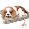 TATOTTE Hunde-Stofftier - Realistische schlafende Hundefigur mit Aktivkohle - Entspannende Innendekoration - Mit Mini-Pfotenabdruck-Anhänger (Cava