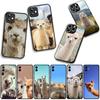Cover per Telefono Llama Llama Alpacas Carini Custodia per Apple iPhone 16 15 14 Plus 13 12 Mini 17 Pro Max + ProMax 16E Air 15+ Custodia