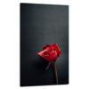 GLASS PLATE BOARD PANEL TABLETOP 30x52 ROSE