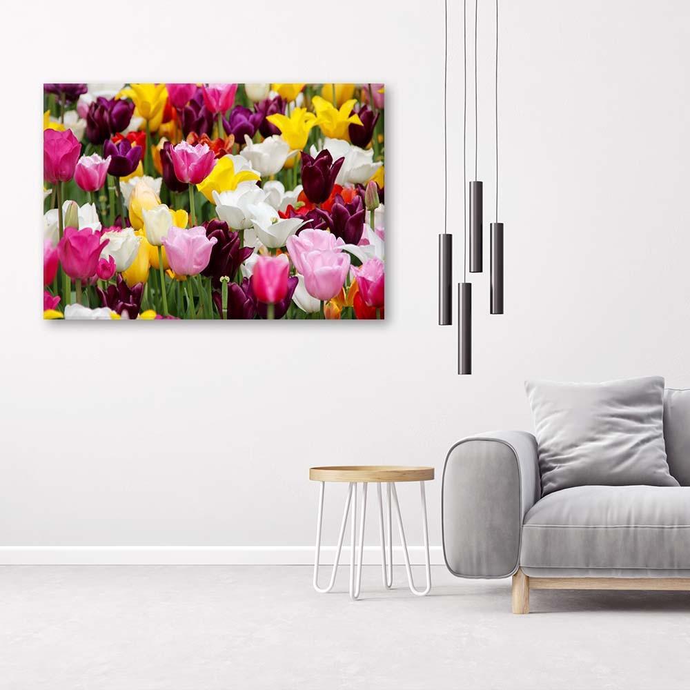 Canvas Print Colourful Tulips Meadow Flowers