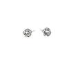 18k Gold-Plated Twisted Rope Stud Earrings in S925 Sterling Silver – Unique, Versatile, and Stylish Design