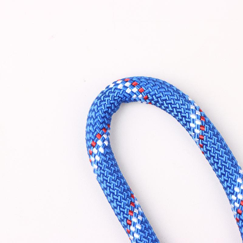 50/100Cm Swing Hanging Rope, Professional Stainless Steel Hook And Loop, Home Hammock Hanging Rope Tool Safe