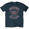 Aerosmith Unisex Adult Boston Pride Cotton T-Shirt