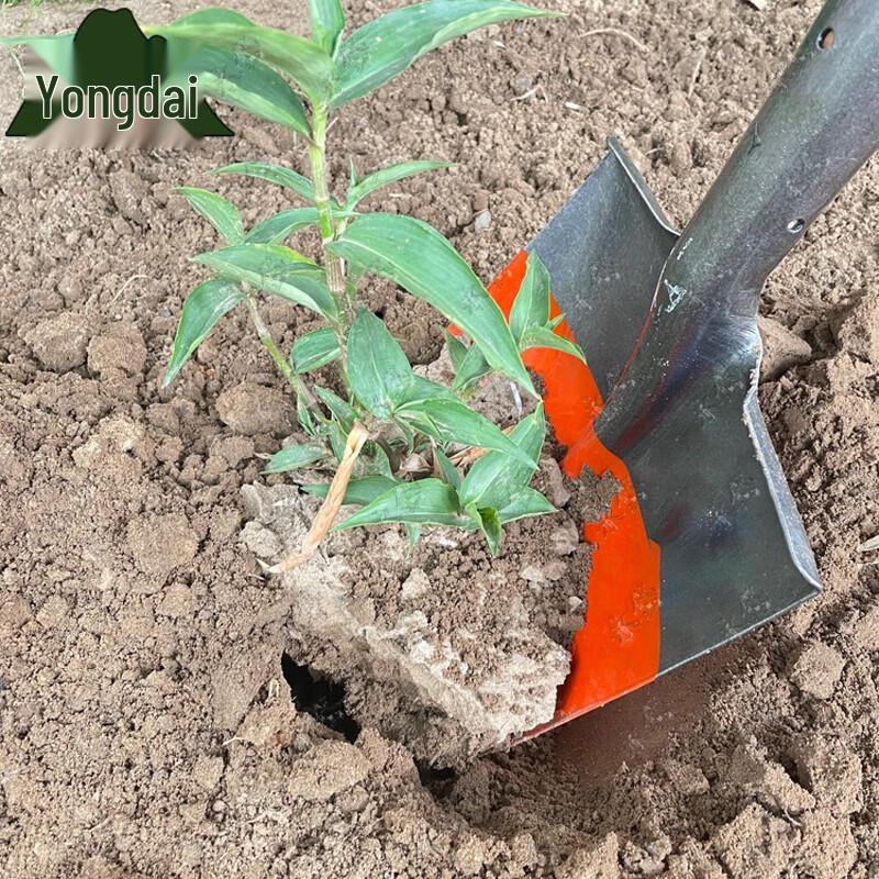 Yongdai Heavy-Duty Garden Shovel