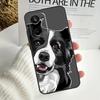 Border Collie Dog For Realme GT Neo 5 GT5 9 10 11 12 Pro Plus C30 C31 C33 C35 C25s C21Y C51 C55 C67 C53 Case
