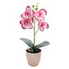 ABS Material Artificial Orchid Orange-red Pink Plus White White Plus Rose
