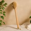 2x Body Brush With Long Handle, Exfoliating