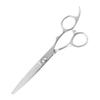 DEEDS Scissors by Japanese Scissors Forged for Haircutting and DP-02 (6.0 Inches) Manufacturer, Hairdresser's Scissors, Finish, Self-Cutting