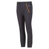 Regatta Childrens/Kids Tech Mountain Hiking Trousers
