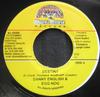 Disc de 7 inch DANNY ENGLISH & EGG NOG - Destiny NONE Opera House 2003 Jamaica Reggae, Ska & Dub Folosit