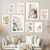 Beige Plant Reed Dandelion Rose Peony Flowers Wall Art Canvas Painting Posters And Prints Wall Pictures For Living Room Decor