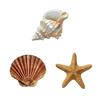 3 Pcs Beach Wall Decor Wooden Seashell Starfish Wall Decoration Rustic Ocean Coastal Nautical Wall Art for Living Room Bathroom