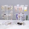 Rotating Earring and Jewelry Display Stand for Earrings, Bracelets, and Necklaces
