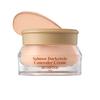 Skinfood Krémový korektor na kruhy pod očima s lososovým odstínem 10 g / Rozjasňující, Make-up, Korejská kosmetika, K-beauty