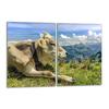 Glass Stovetop Protector 2x40x52 Cow