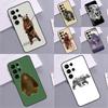 Cartoon Grizzly Bear Phone Case For Samsung Galaxy S24 Ultra S9 S10 S20 FE S22 S21 S23 Plus S25 Ultra Cover Coque