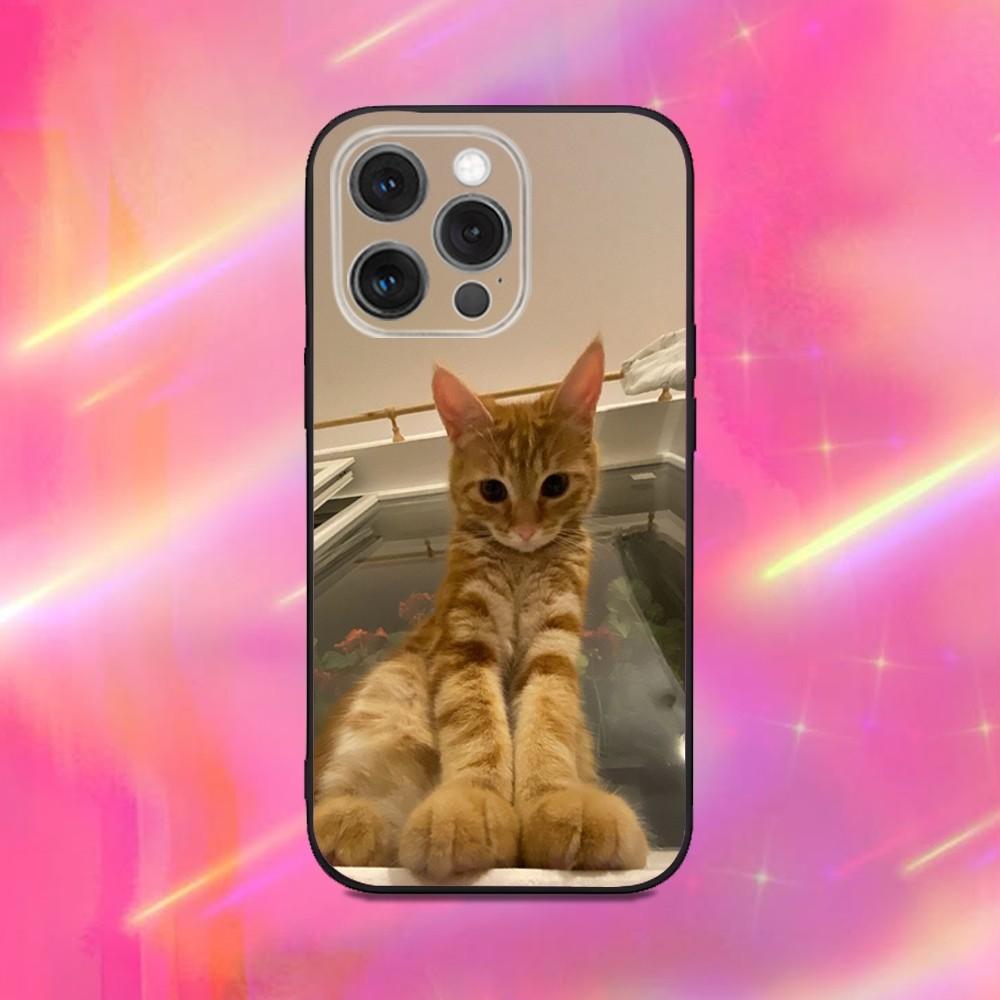 Lustige Süße Katze Handyhülle Für iPhone 17 16 15 14 13 12 11 Pro Max Mini SE 7 8 Plus 17E Air Stoßfest Rutschfest Weiche Rückseite