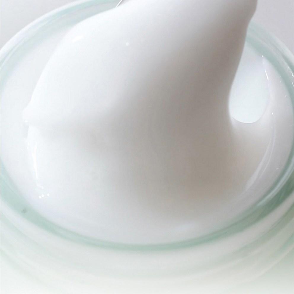 Hanyul Artemisia Calming Moisture Cream, 55ml