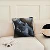 Funny cat cute sleep cushion cover Pillow Cover Decoration Room Home Sofa living Office Car Nordic Simplicity