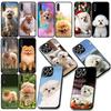 Pomeranian Dog Pet Animal Phone Cover for Samsung Galaxy A04 J7 J5 J2 Prime J8 A01 A02 A03 A56 A42 M06 M16 M56 M23 M55 Case
