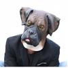 Mangy Dog Mask Pet Dog Head Cover