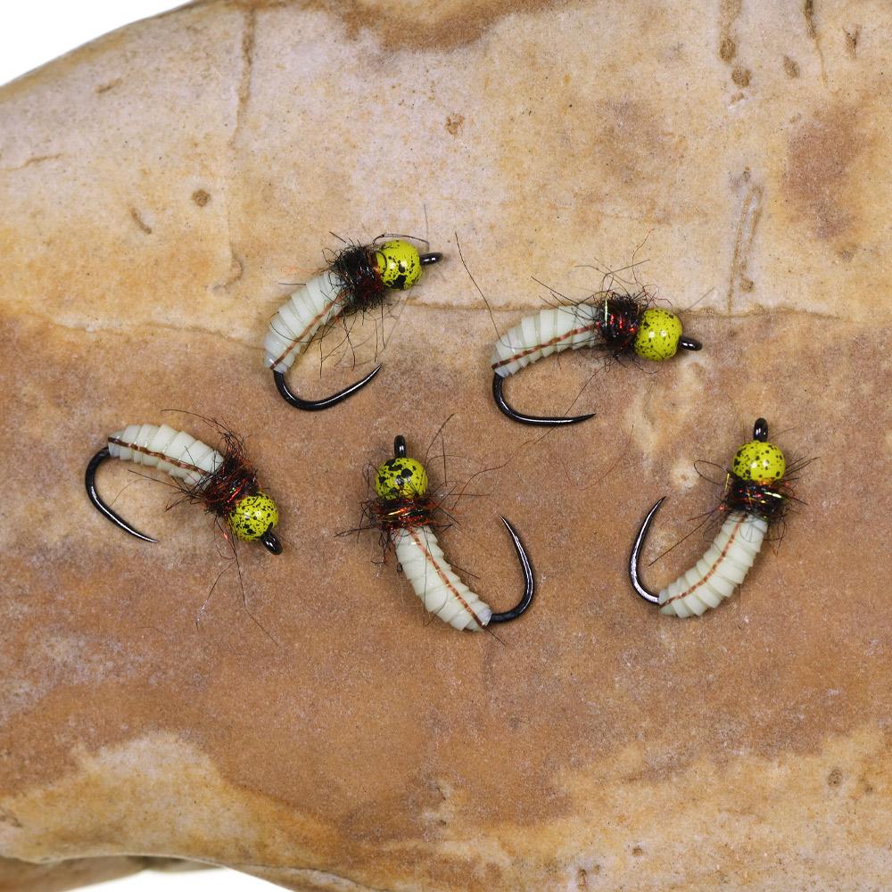 ICERIO Cyclops Brass Bead Head Caddis Bug Nymph, Realistic Silicone Segmented Body, Fast Sinking Trout Fishing Fly for Euro Nymphing