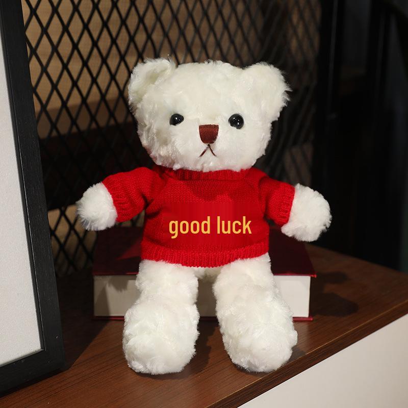 Teddy Bear Sweater Hug Plush Doll for Girls - Valentine's Day or Birthday Gift