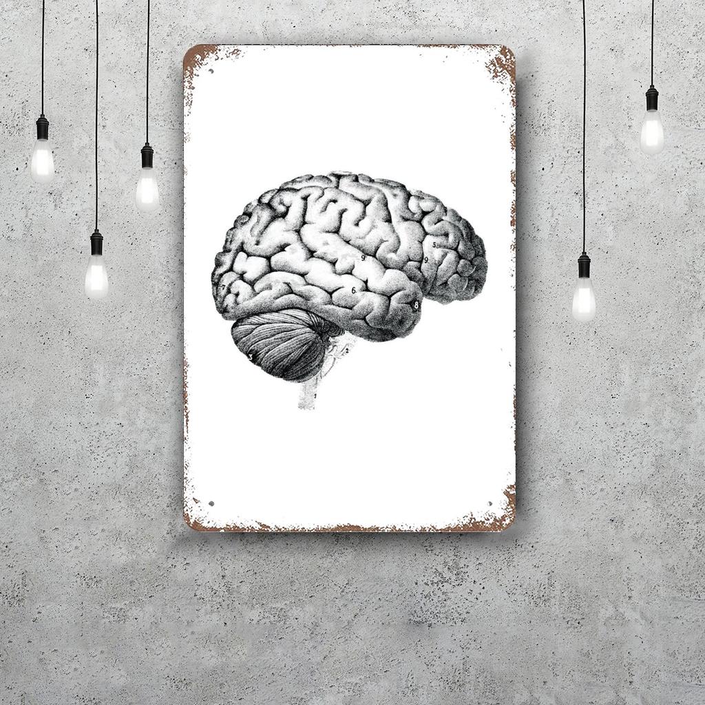 brain Funny Bar Metal Sign Retro Plaque Vintage Sign Alcohol Drinker Pub Club Man Cave Kitchen Wall Decoration