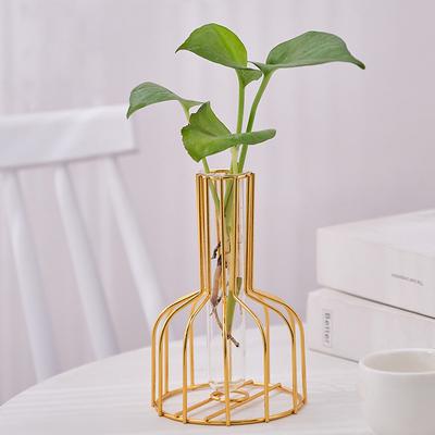 1 Set of Gold Wrought Iron Metal Vase Hydroponic Container Test Tube Vase Living Room Illustration Decoration