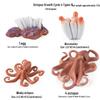 Ocean Crab Simulation Toy Set: Includes Hermit, Swimming, and Three-Spot Plastic Models