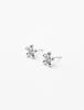 Tout Mini Flower Earring 316L