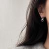 Silver Needle Niche Daily Small Metal Chain Earrings Women's Versatile Temperament Earrings Earrings