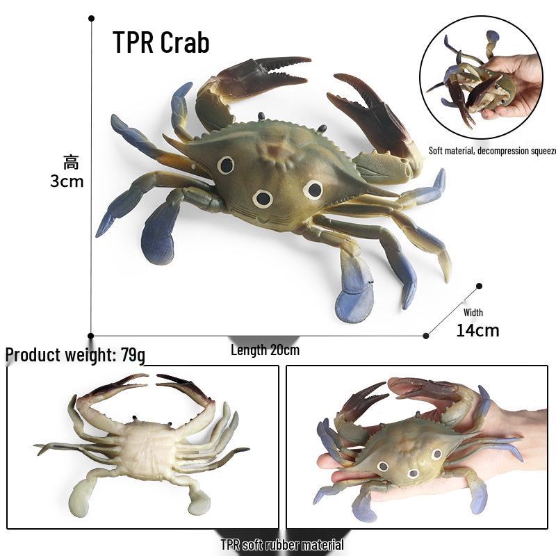 Ocean Crab Simulation Toy Set: Includes Hermit, Swimming, and Three-Spot Plastic Models
