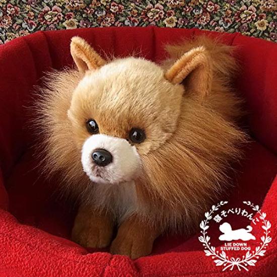 Ninian and Kino Plush Realistic Lying Down Approximately 40cm Pet Dog, Puppy, Long, (Pomeranian)