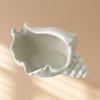 Conch Shape Ceramic Jewelry Tray Desktop Earrings Necklace Storage Dish Shell Jewelry Tray  Home
