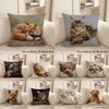 1pc Cute Pet Patterned 2D Flat Printing Pillowcases Sofa Cushion Cover Home Bedroom Room Decoration