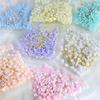 1 Sett Blomsterblad Neglekunst Charms 3D Resin Blomsterblad Gylne Perler DIY Negledesign Smykker Håndverk Manikyrtilbehør
