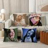 American Singer B-Billie E-Eilish Pillow Case Office Cushions Suitable For Sofa Car Bedroom Decorative Cushion Cover