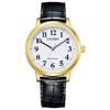 Collection Men's Watch BJ6543-10A Black