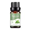 10ml Essential Oil High Purity Refresh Air Multiple Aromas Fragrance Diffuser with Dropper Aromas Oil for Humidifier