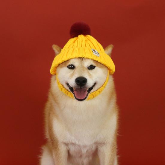 Knitted Dog Hat Cat Pompon Hat Winter Warm Hat with Ear Holes for Small Dogs And Cats Daily Wear Photography Prop