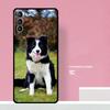 Border Collie Dog Phone Case For Samsung Galaxy S25 Ultra S20 S21 S22 S23 S24 Plus S9 S10 S24 FE Cover Coque