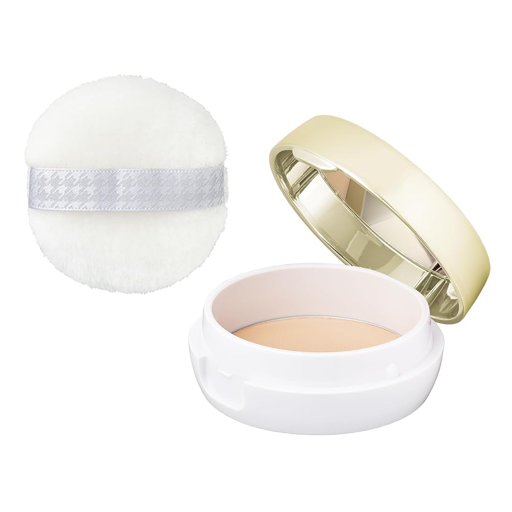CLEARLAST Face Powder High Cover 4-in-1 Foundation Concealer, Ocher N, 12g