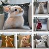 Rabbit Cute Cushion Cover Plush Fabric Soft DoubleSided Printed Sofa Warm Winter Home Child Gift Pillow Case