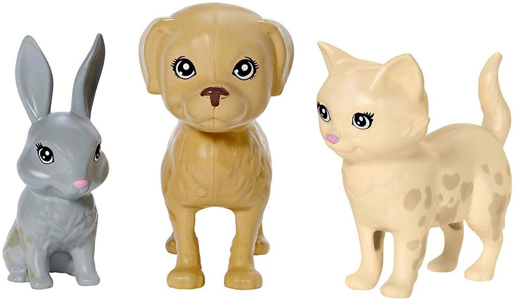 barbie Pet Care Set Accessory FXH11 (Dress-up Doll, Set) [Ages 3+]