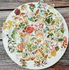 90 Pièces/Paquet Plantes Champignon Autocollant Bricolage Scrapbooking Album Journal Happy Planner Autocollants Décoratifs