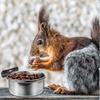 Pet Activity Food Box Stainless Steel Bird Food Cup Pet Feeder Bird Feeder Food Water Feeding