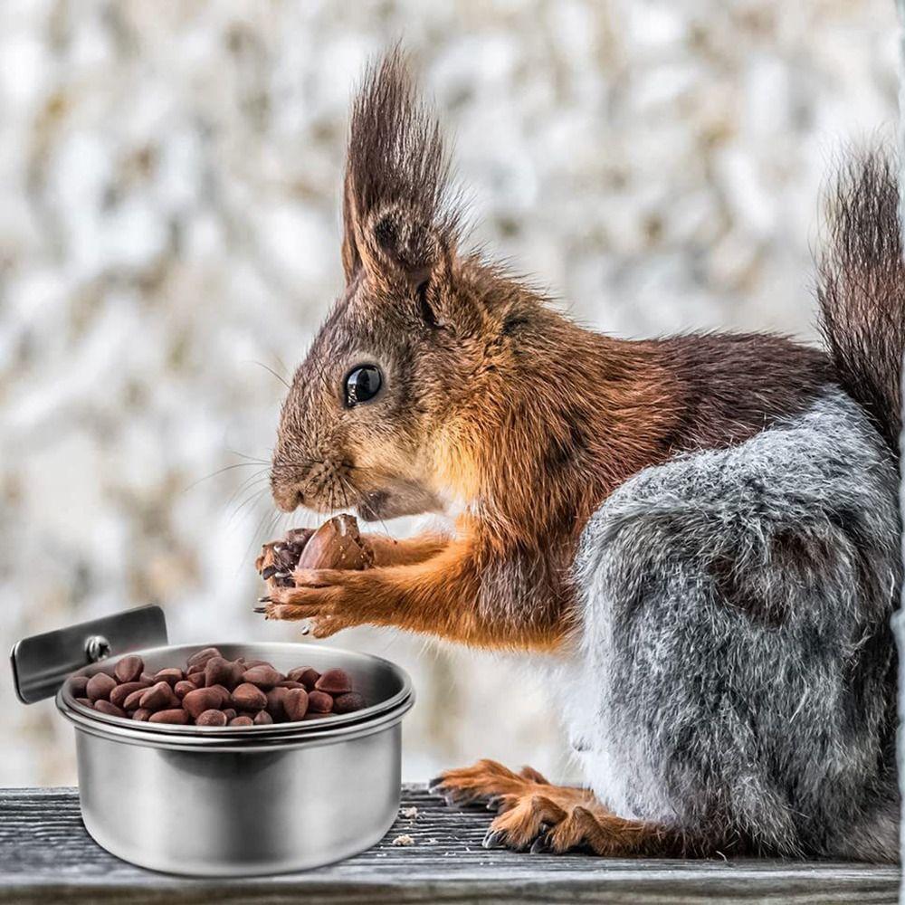 Pet Activity Food Box Stainless Steel Bird Food Cup Pet Feeder Bird Feeder Food Water Feeding