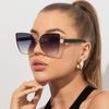 New Personality Large Frame Cat-eye Sunglasses European And American Ladies Fashion Trend Sunglasses